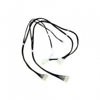 GG CHICOTE ACCADEMIA - GAV 1 - F2