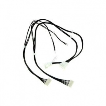 GG CHICOTE ACCADEMIA - GAV 1 - F2