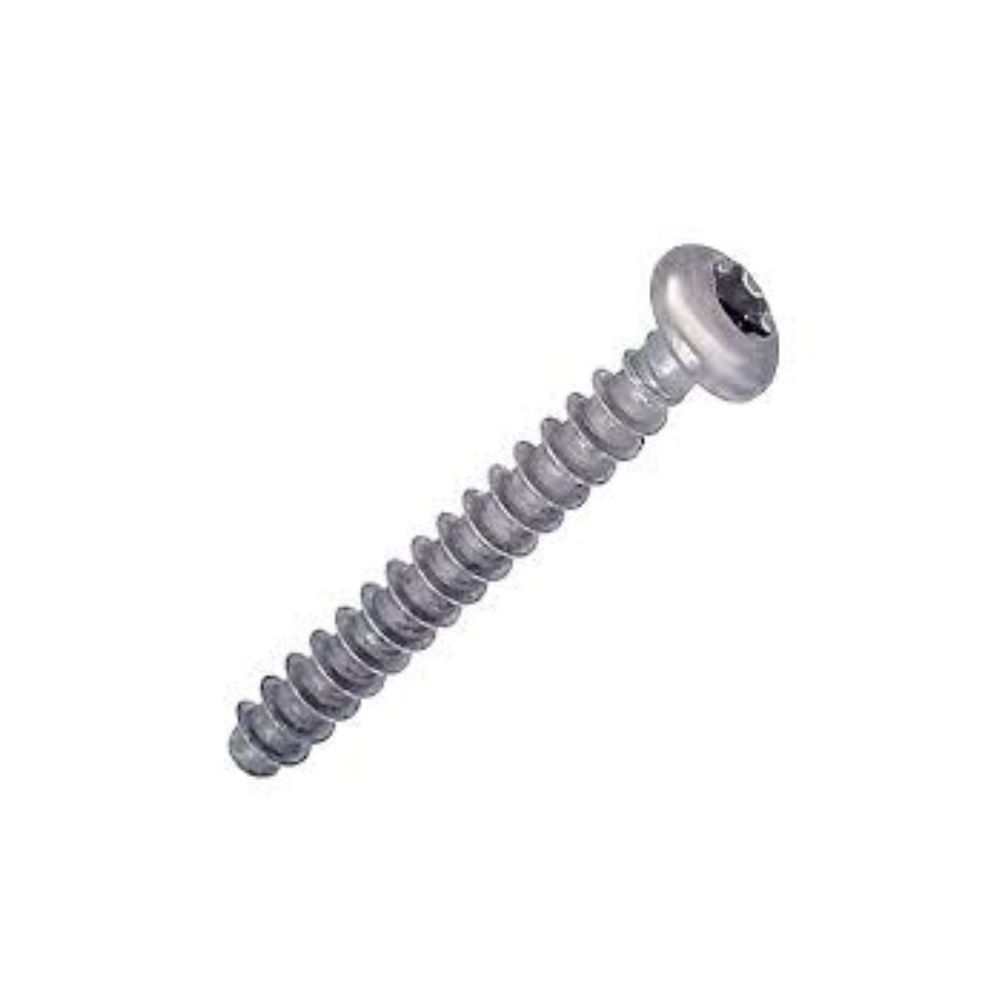 GG SCREW TCB TORX 10 3X25 PLAST.SS
