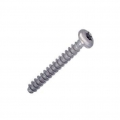 GG SCREW TCB TORX 10 3X25 PLAST.SS